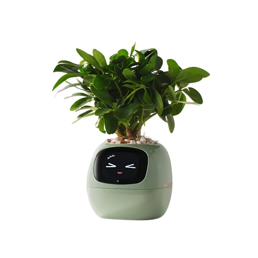 IVY Smart AI Planter | Selbstbewässernder Topf mit Touch-Interaktion und digitaler Anzeige