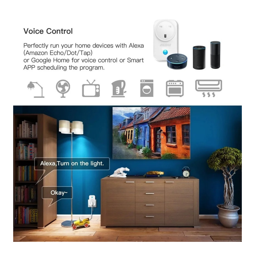 Smart WiFi Wall 2-Socket with USB Charger