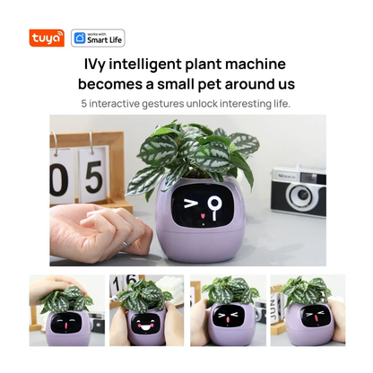 IVY Smart AI Planter | Selbstbewässernder Topf mit Touch-Interaktion und digitaler Anzeige