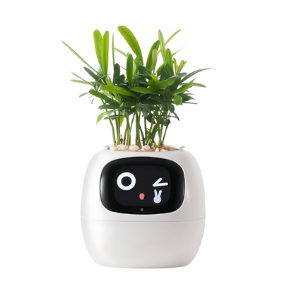 IVY Smart AI Planter | Selbstbewässernder Topf mit Touch-Interaktion und digitaler Anzeige