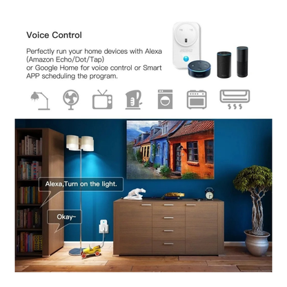 Smart WiFi Wall 2-Socket with USB Charger